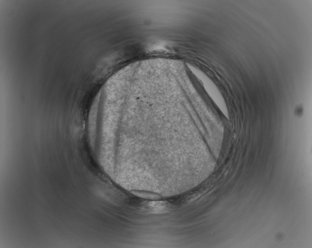 X0000116670324201001111316