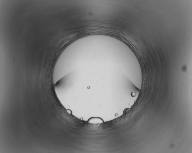 X0000116670325201001111316