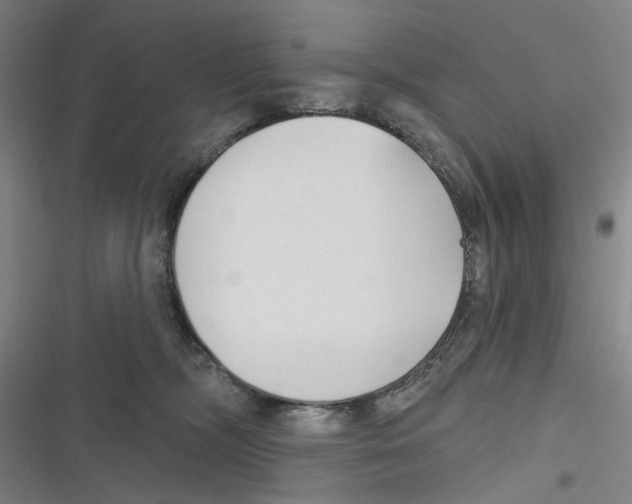 X0000116670326201001111316