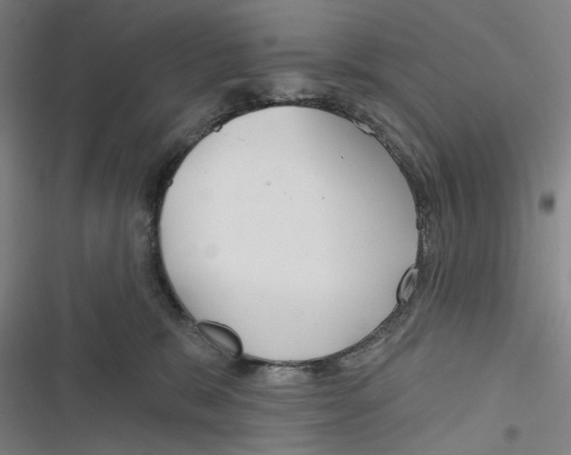 X0000116670327201001111316