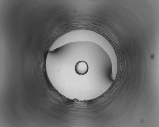 X0000116670328201001111316