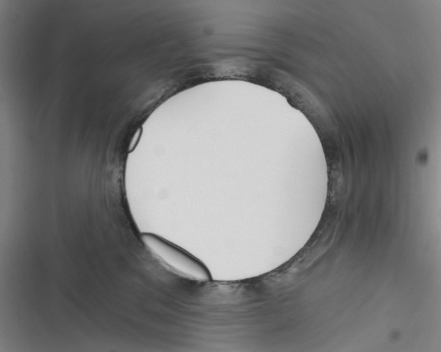 X0000116670329201001111316