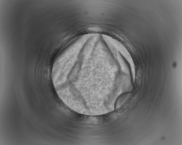 X0000116670330201001111316