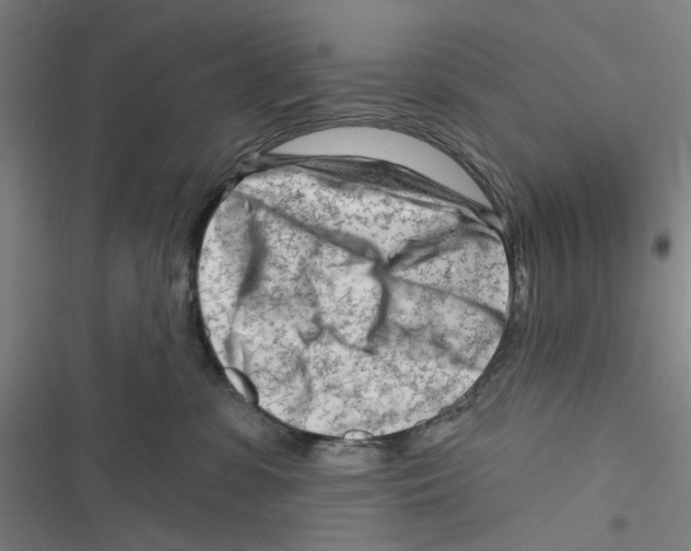 X0000116670331201001111316