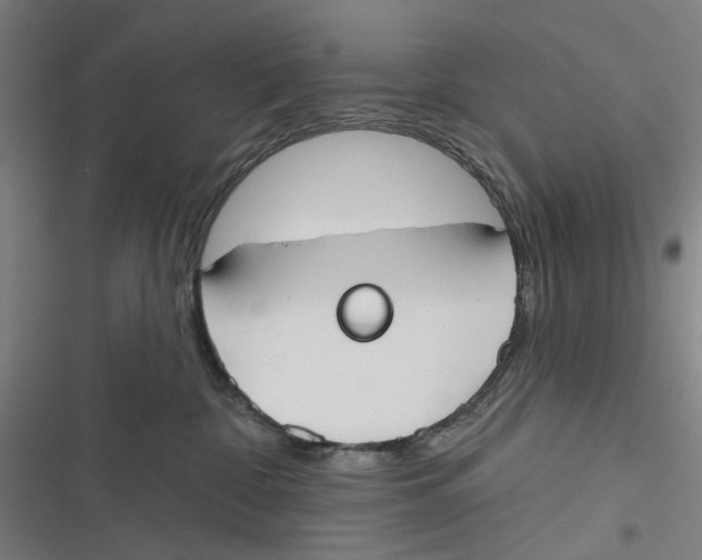 X0000116670332201001111316