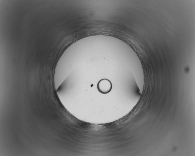 X0000116670333201001111316