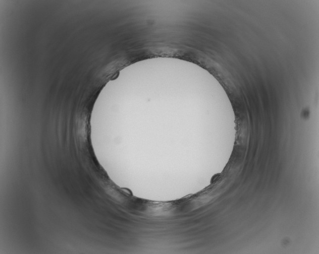 X0000116670334201001111316