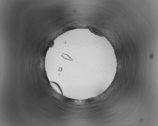 X0000116670335201001111316