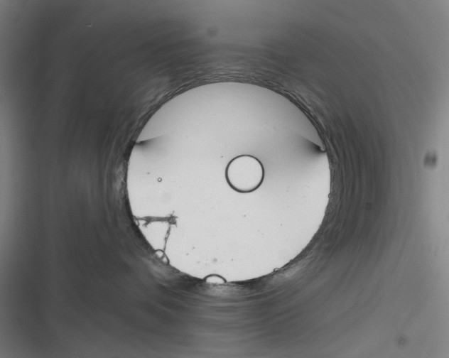 X0000116670336201001111316