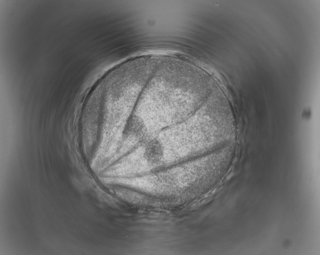 X0000116670337201001111315