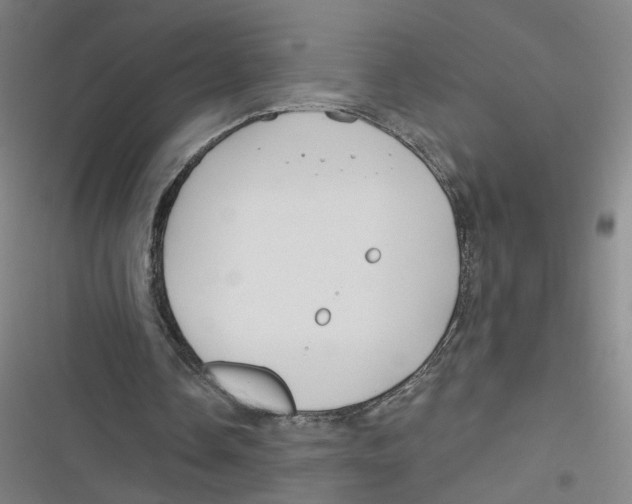 X0000116670338201001111315