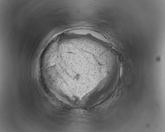 X0000116670339201001111315