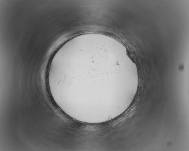 X0000116670341201001111315