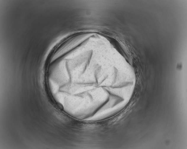 X0000116670342201001111315