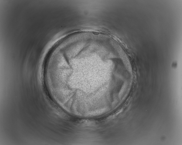 X0000116670343201001111315