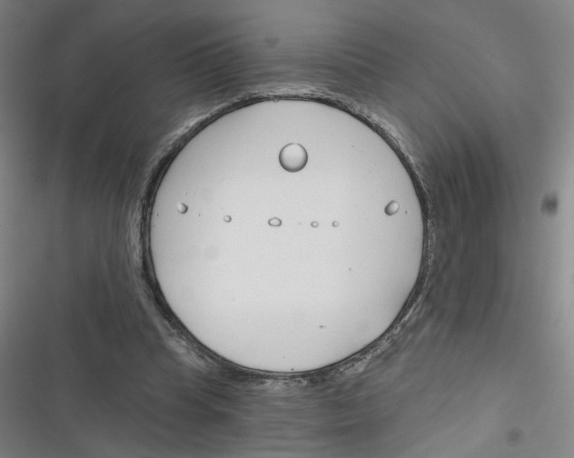 X0000116670345201001111315