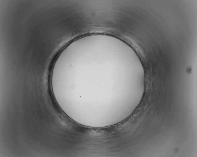 X0000116670346201001111315