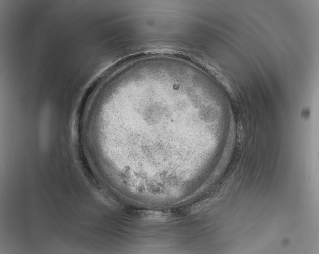 X0000116670347201001111315