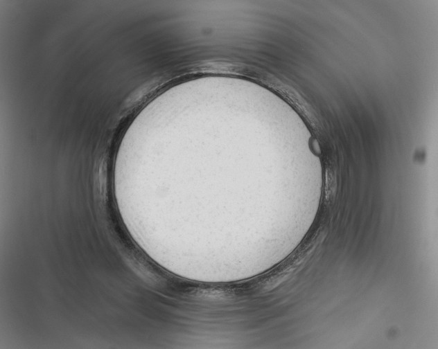 X0000116670349201001111315