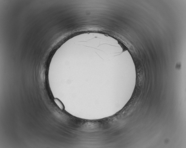 X0000116670350201001111315