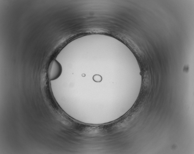 X0000116670351201001111315