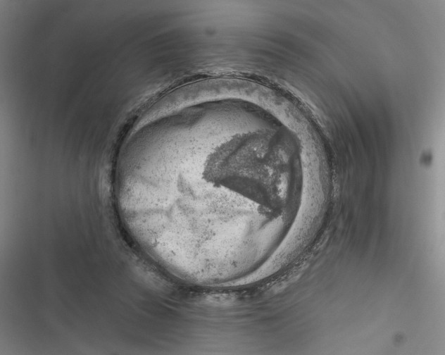 X0000116670353201001111315