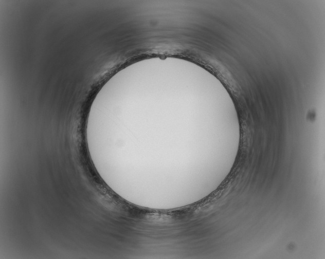 X0000116670354201001111315