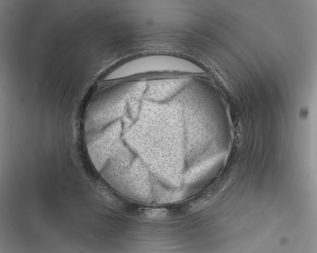 X0000116670355201001111315