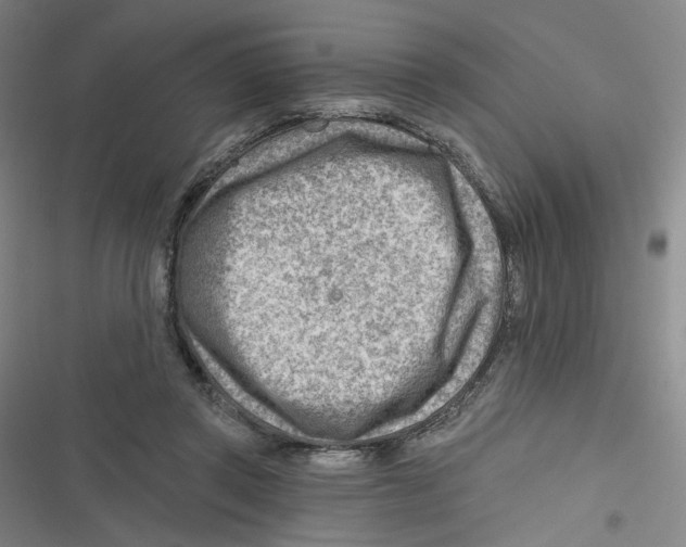 X0000116670357201001111315