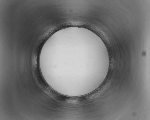 X0000116670358201001111316