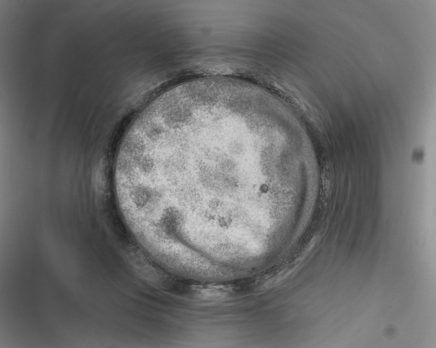 X0000116670359201001111316