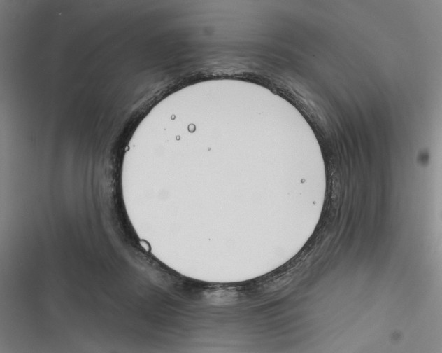 X0000116670362201001111316