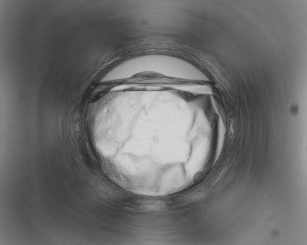 X0000116670363201001111316