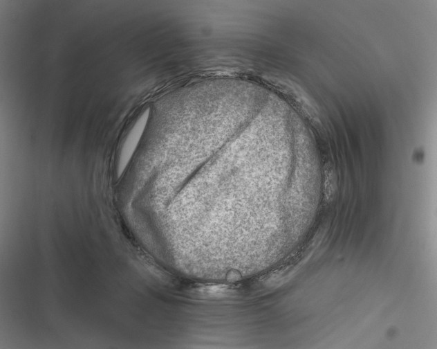 X0000116670365201001111316