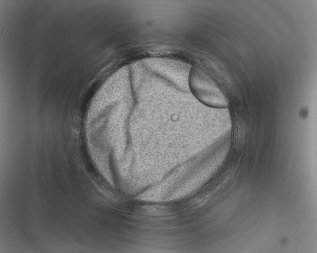 X0000116670367201001111316