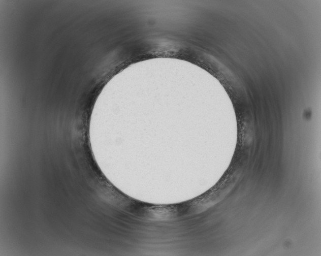 X0000116670370201001111316