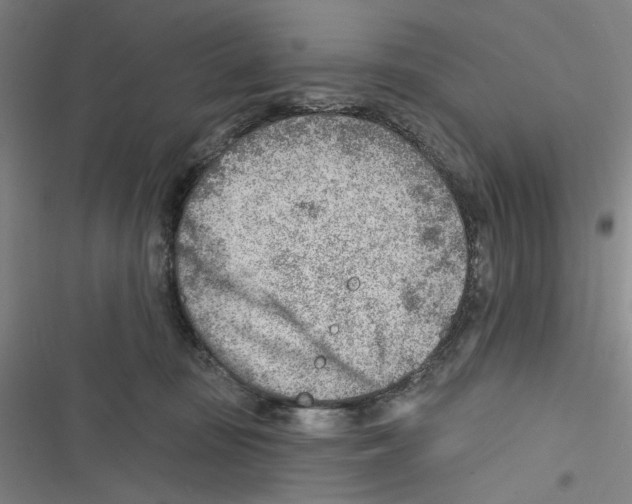 X0000116670371201001111316