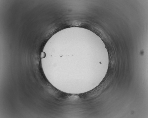 X0000116670374201001111316