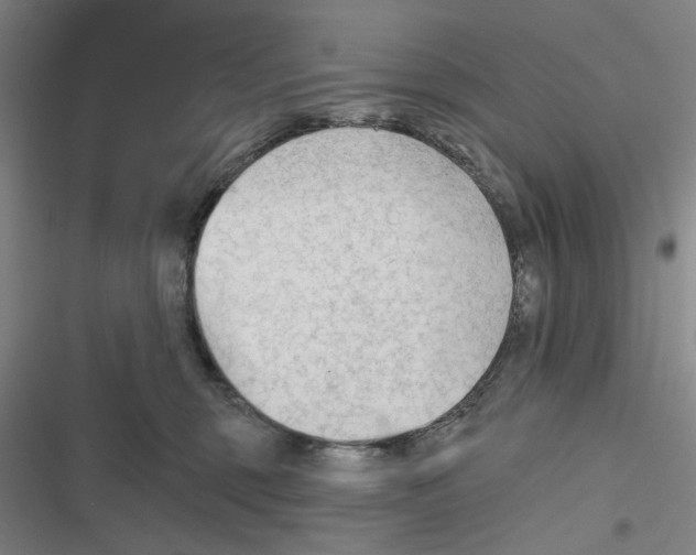 X0000116670375201001111316