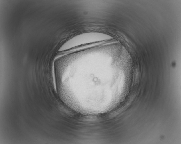 X0000116670377201001111316