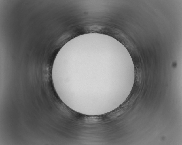 X0000116670378201001111316