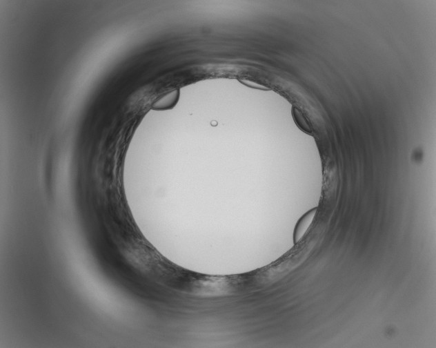 X0000116670381201001111316