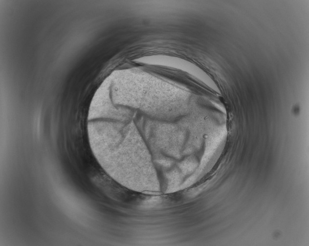 X0000116670382201001111316