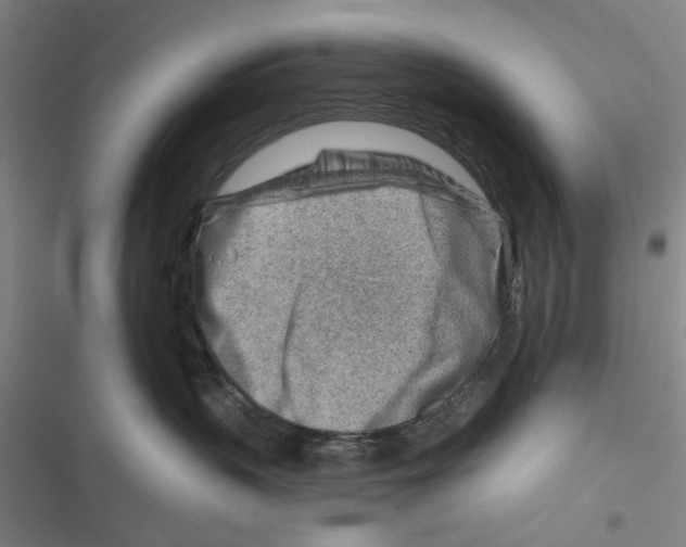 X0000116670383201001111316