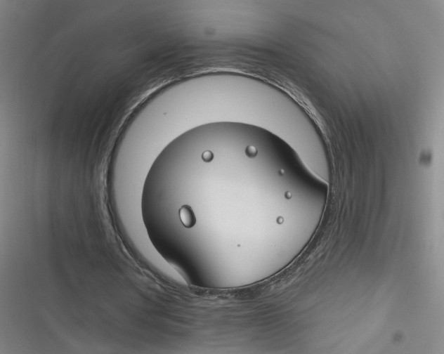 X0000116670386201001111315