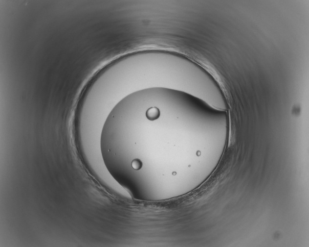 X0000116670387201001111315