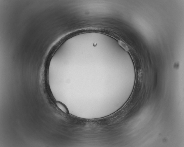 X0000116670388201001111315