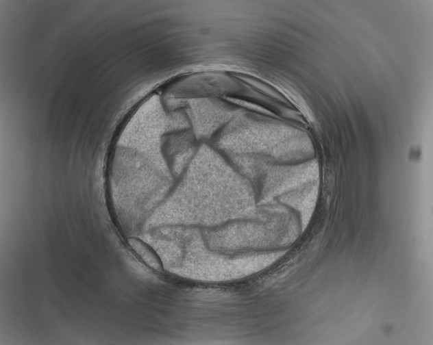 X0000116670389201001111315