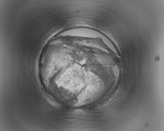 X0000116670390201001111315