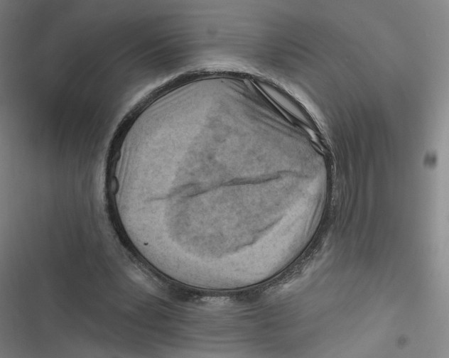 X0000116670391201001111315